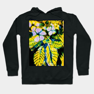 Stocky art Hoodie